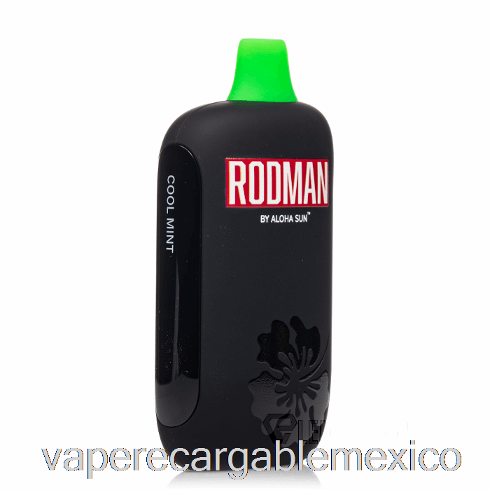 Vape Recargable Rodman 9100 Desechable Cool Mint